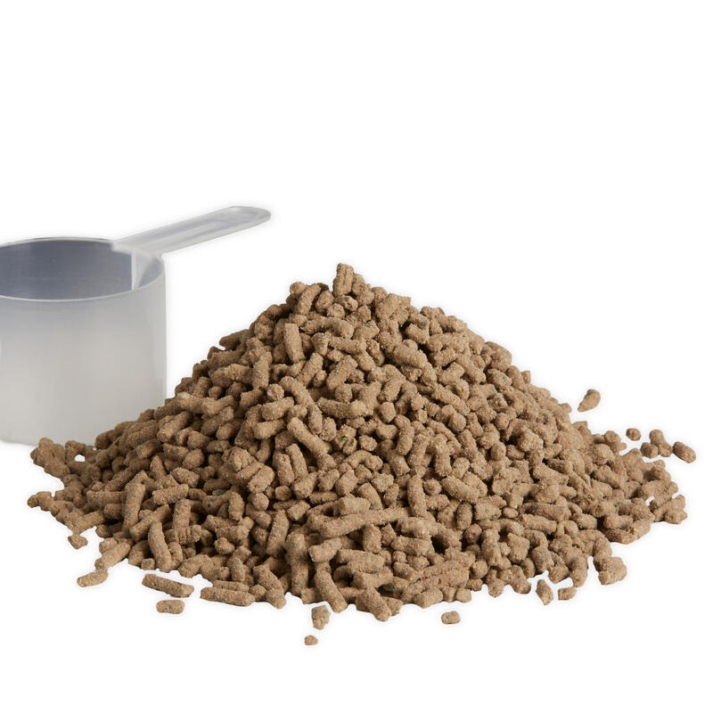 Supliment Alimentar Echitație Biotină 1 kg Cal/Ponei