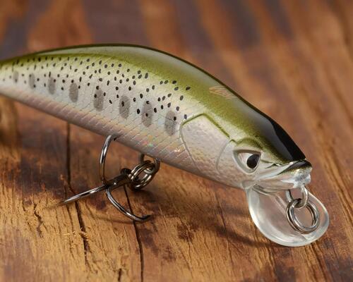 Come scegliere un minnow?