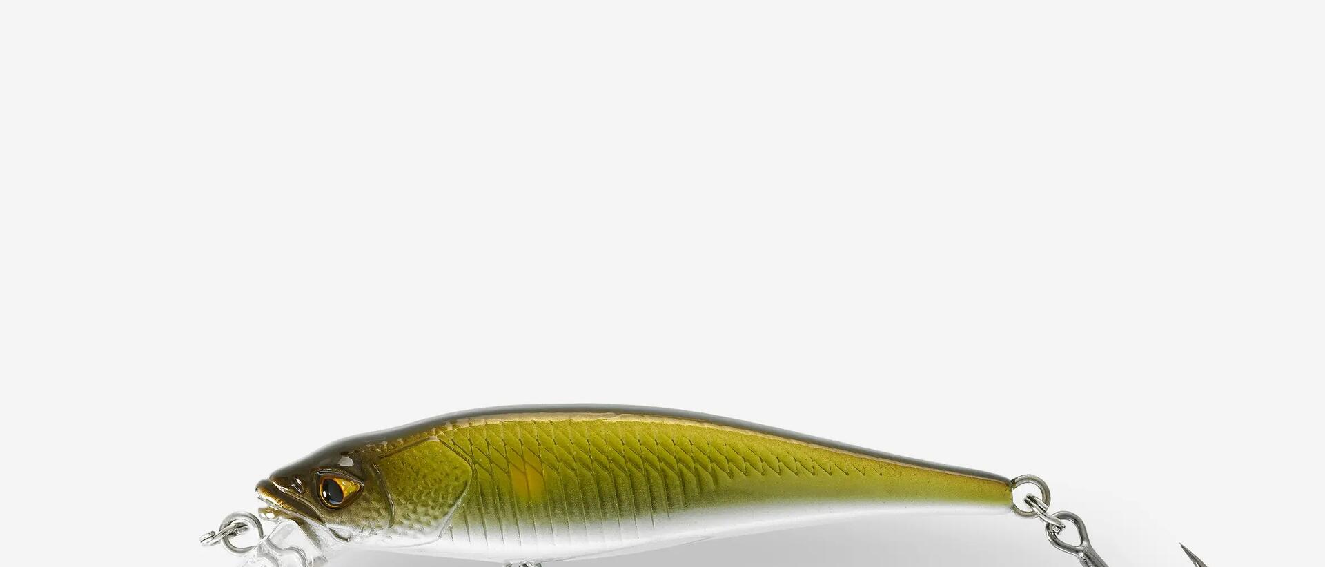 COMMENT CHOISIR SON POISSON NAGEUR