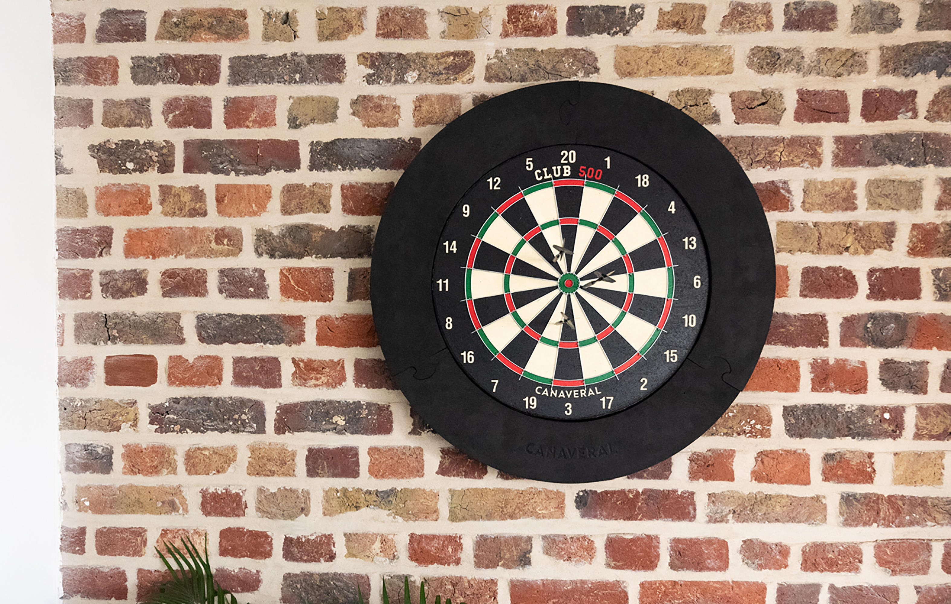 Steel Tip Dartboard - Club 500 - CANAVERAL