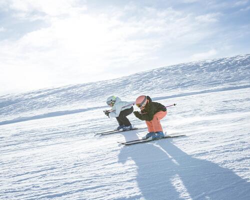 Ski's voor kinderen kiezen: de beste lengte, vorm en type per niveau