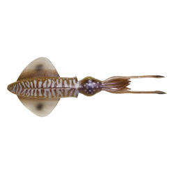 Señuelo de pesca en el mar 3D SWIM SQUID 12.5 CM CUTTLEFISH