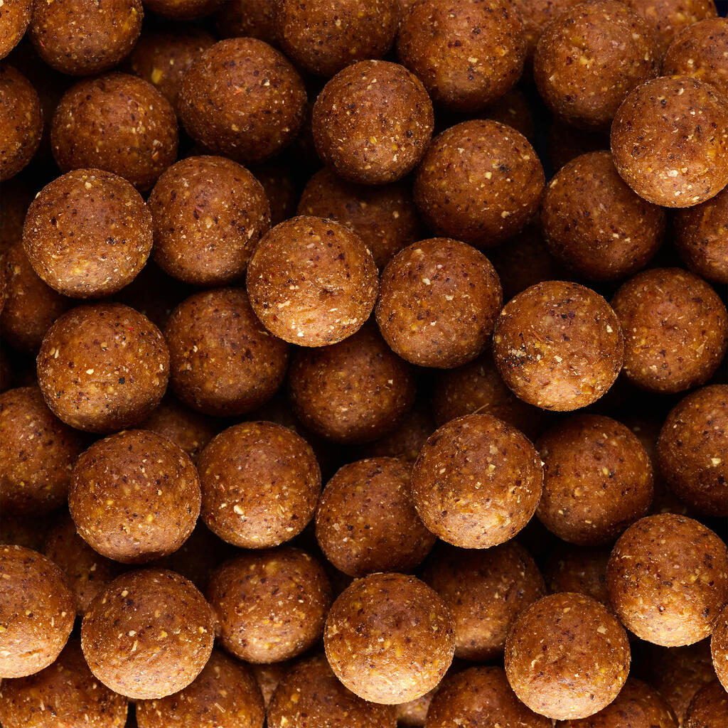 Boile za ribolov šarana Wellmix 20 mm 1 kg rak bramburač