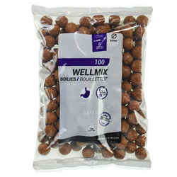 CARP FISHING BOILIE 20 MM 1 KG - GARLIC