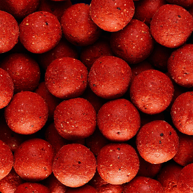 Boilies voor karper Wellmix 24 mm 1 kg aardbei