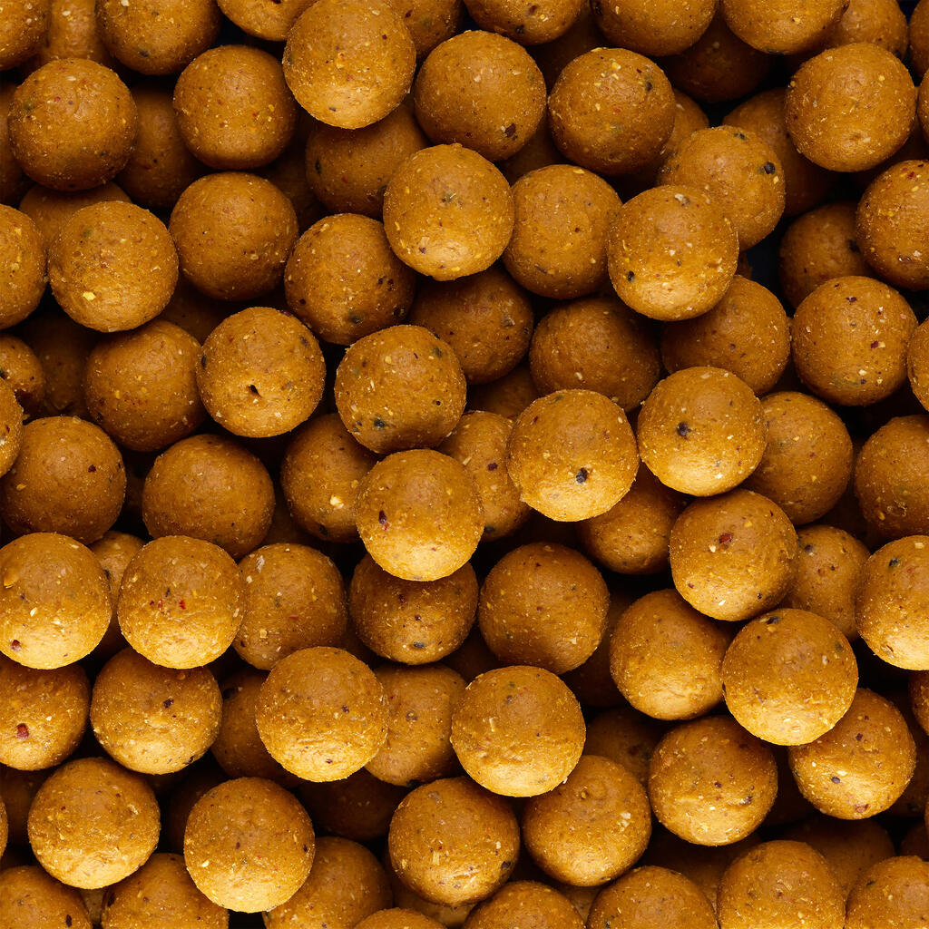 wellmix carp fishing boilies 14mm Scopex 1 KG