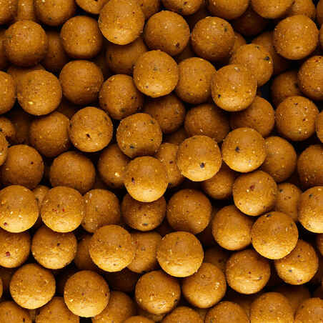 Wellmix Scopex 14 mm 1kg carp fishing boilies