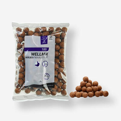 Boiles carp fishing WELLMIX SCOPEX 20 mm 1 kg