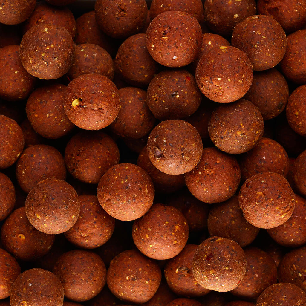 Carp Fishing Boilies 900 20 mm 1 kg - Crustaceans-Black pepper