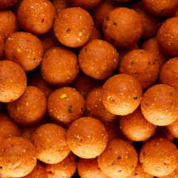 WELLMIX 24 mm MONSTERCRAB 1 KG CARP FISHING BOILIES