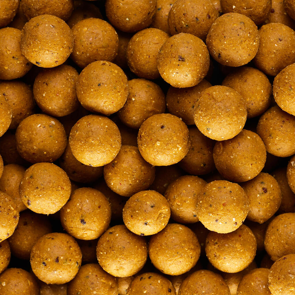 CARP FISHING BOILIE WELLMIX MONSTER CRAB 20 MM 1 KG