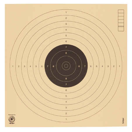 100 compressed air pistol 10 metre targets 17 x 17 cm