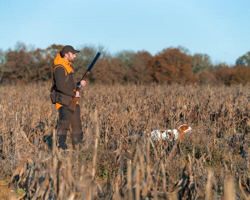 L'ouverture de la chasse du petit gibier approche : nos conseils pour bien la débuter