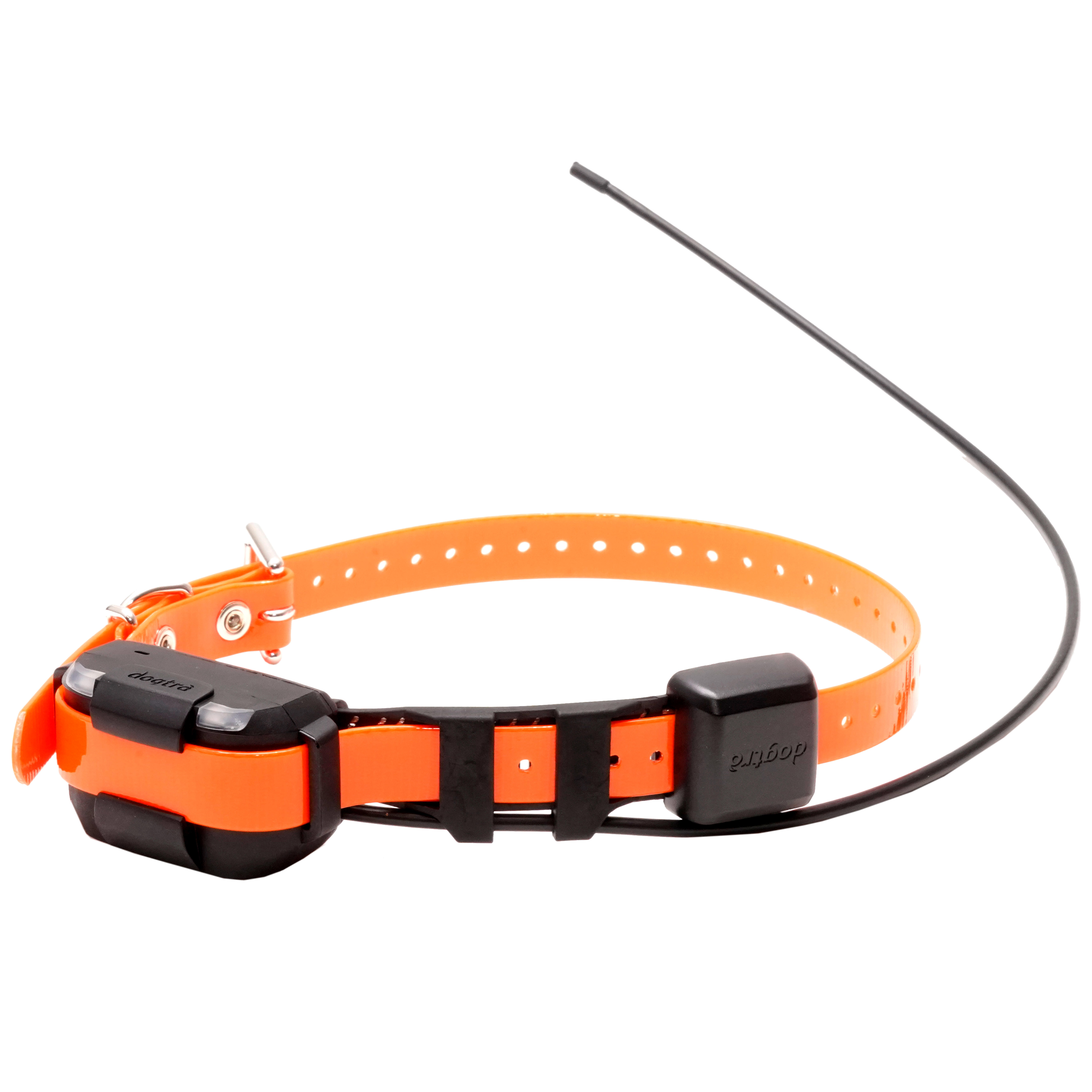 dogtra pathfinder decathlon