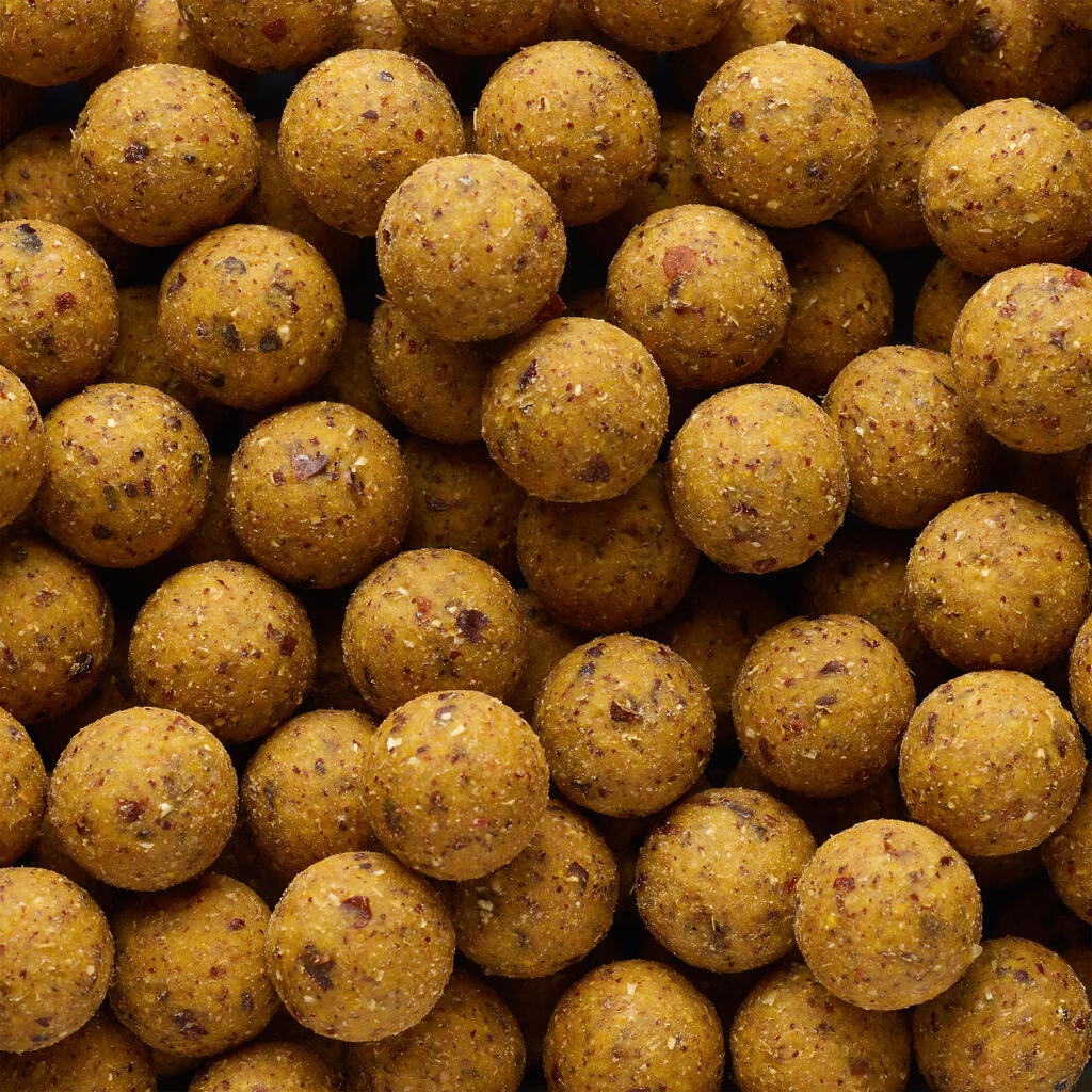 Boilies na lov kapra Naturalseed 20 mm 2 kg Kôrovce - Čierne korenie