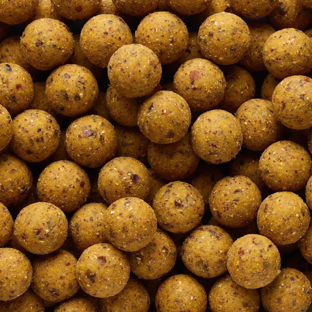 פיתיונות בטבלית NATURALSEED לדיג קרפיונים, 20 מ