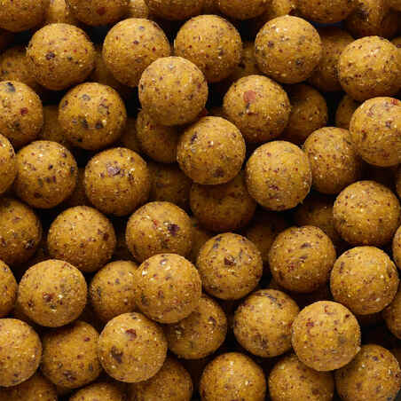 NATURALSEED20mm2kg Scopex carp fishing boilies