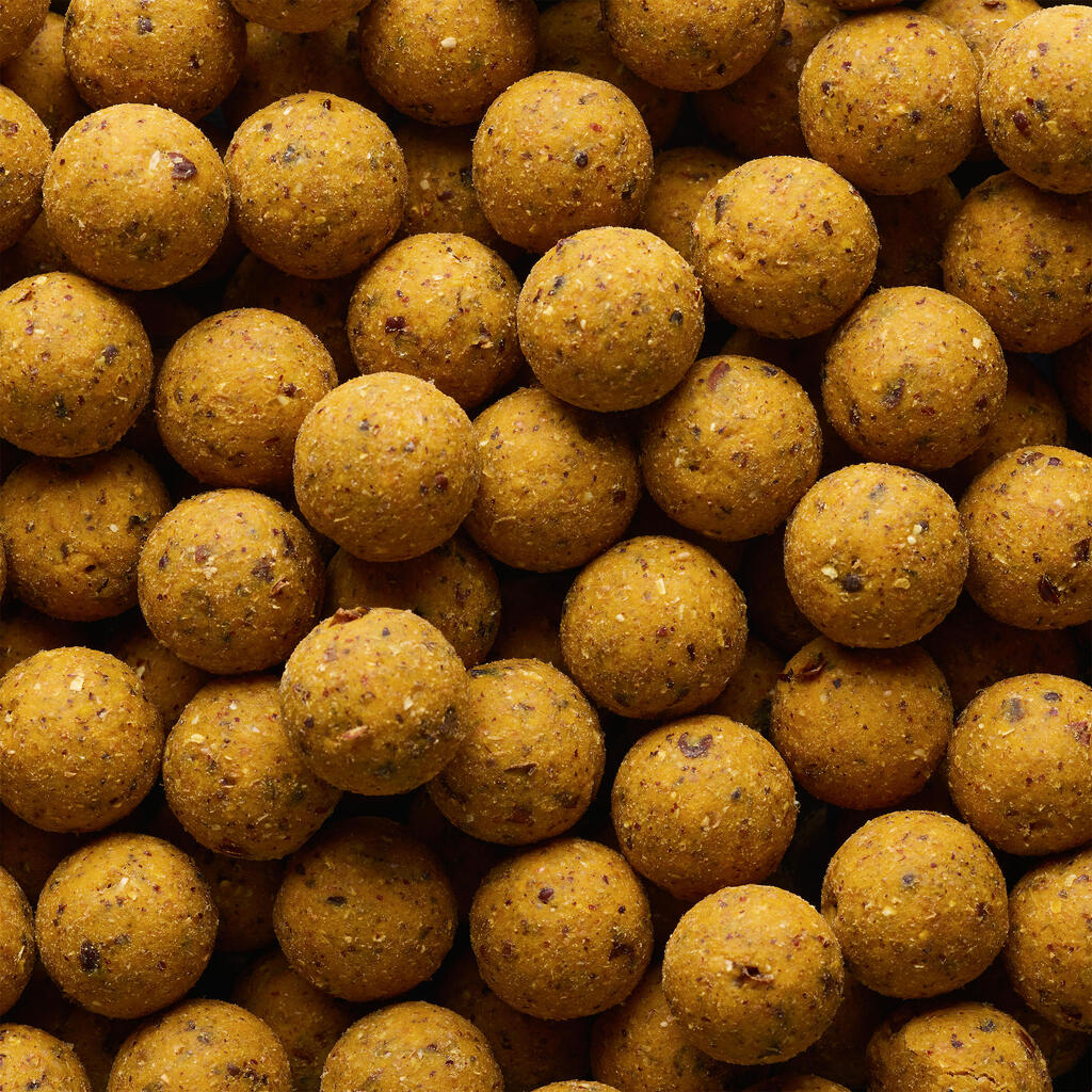 Boilies na lov kapra Naturalseed 20 mm 2 kg Kôrovce - Čierne korenie