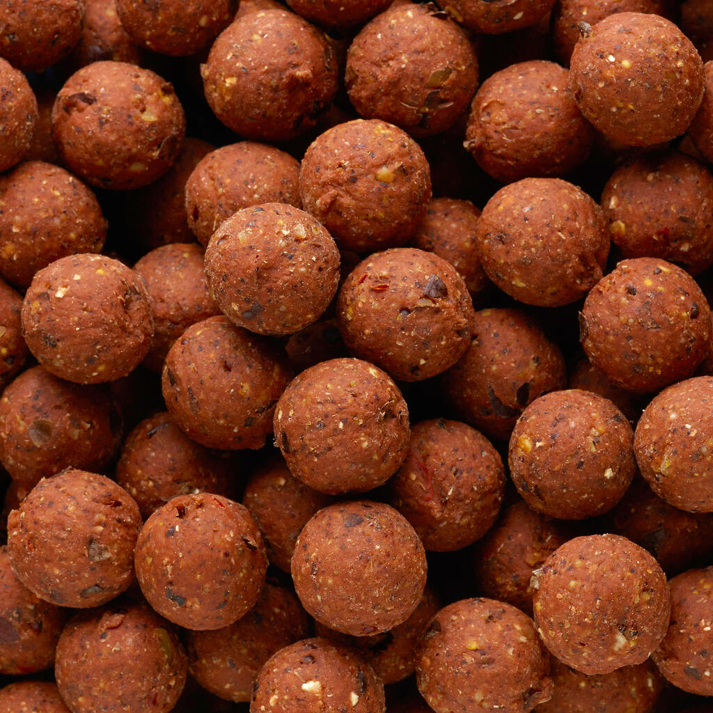 Carp Fishing Boilies NATURALSEED 20 mm 2 kg - Spicy Birdfood