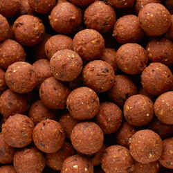 NATURALSEED20mm2kg Spicy carp fishing boilies