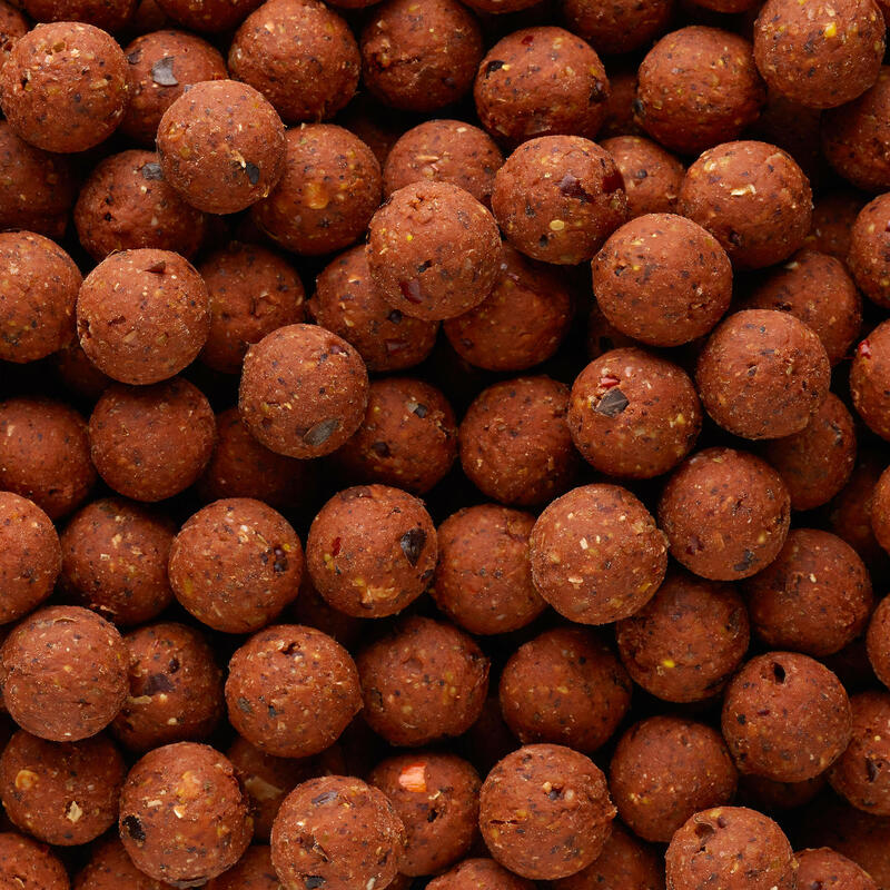 Boilies na kaprařinu NaturalSeed 16 mm 2 kg Spicy Birdfood