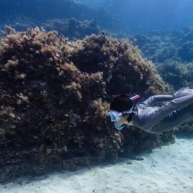 Come scegliere le pinne per la pesca subacquea?