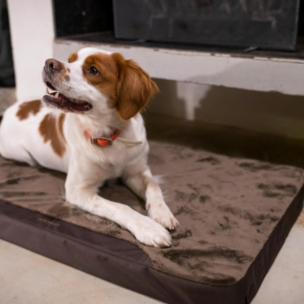 DOG MAT 900 GREY