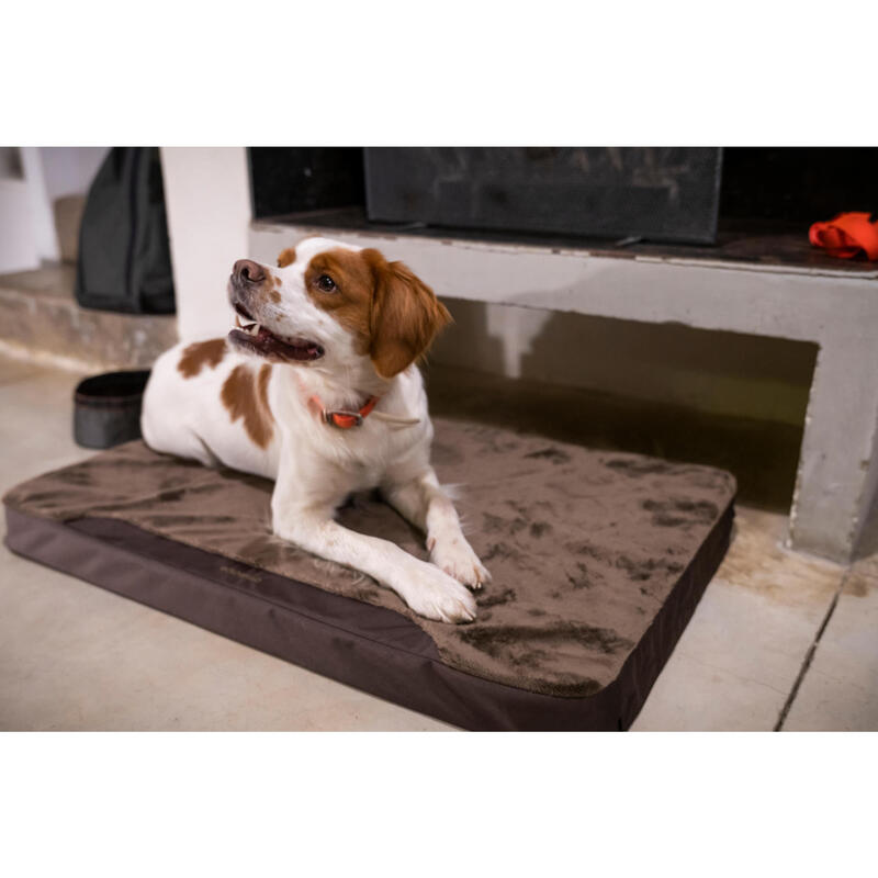 Tapis Chien épaisseur 6cm marron 900