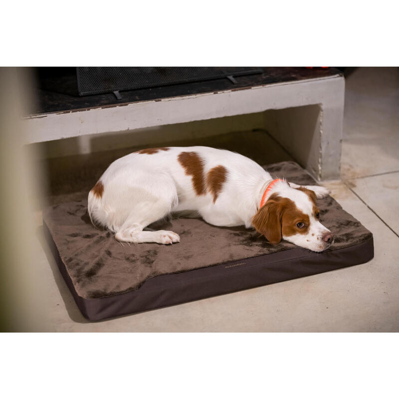 Tapis Chien épaisseur 6cm marron 900