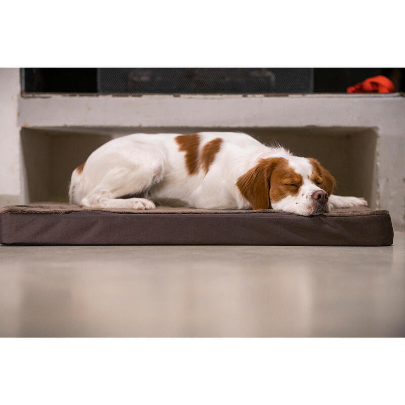 Tapis Chien épaisseur 6cm marron 900