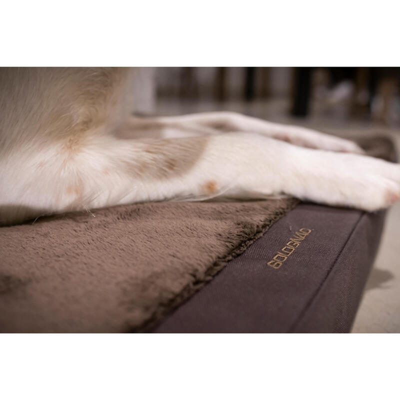 Tapis Thermique S 70 X 50 X 1.5 Cm Marron Pour Chien Ou Chat Flamingo à  Prix Carrefour