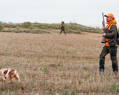 Quelques idées de cadeaux pour les chasseurs de gibier en plaine