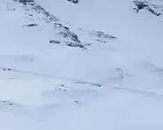 chaussures de ski freeride débutant