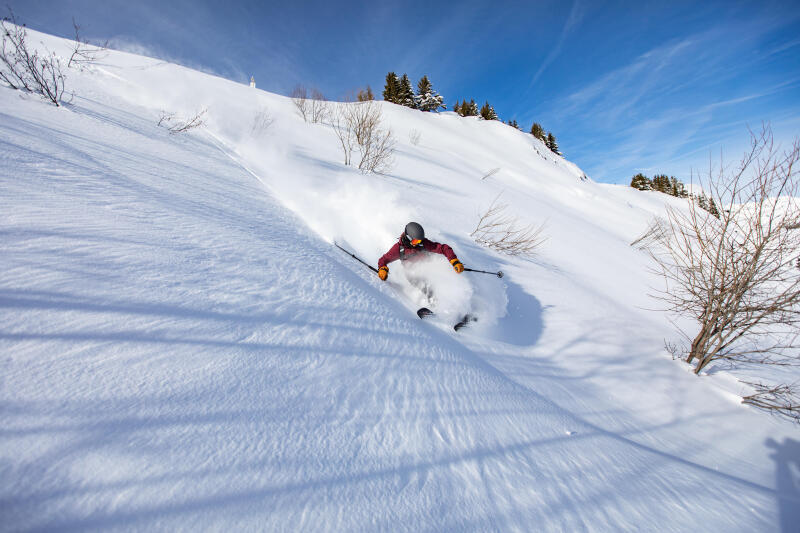 Narty freeride/freetouring Wedze Slash 100