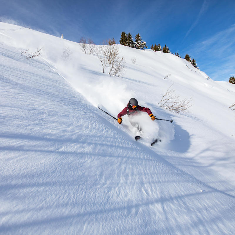 montagne en freeride - titre