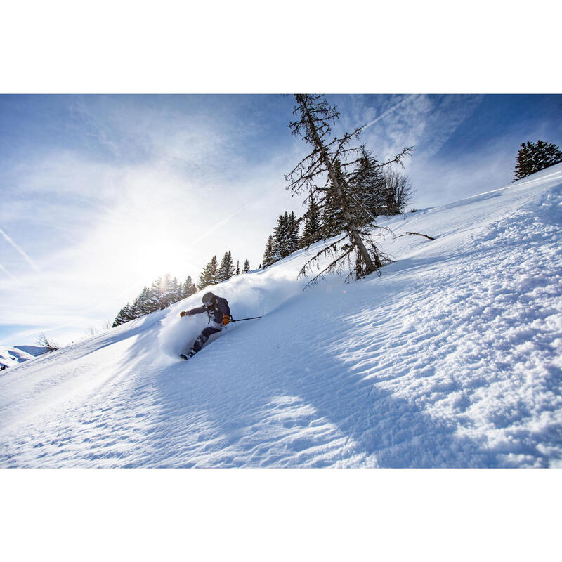 Skischuhe Erwachsene Freeride/Backcountry Flex 100 Lowtec - FR500