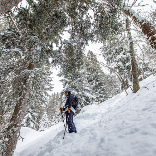 sci freeride confirmé slash