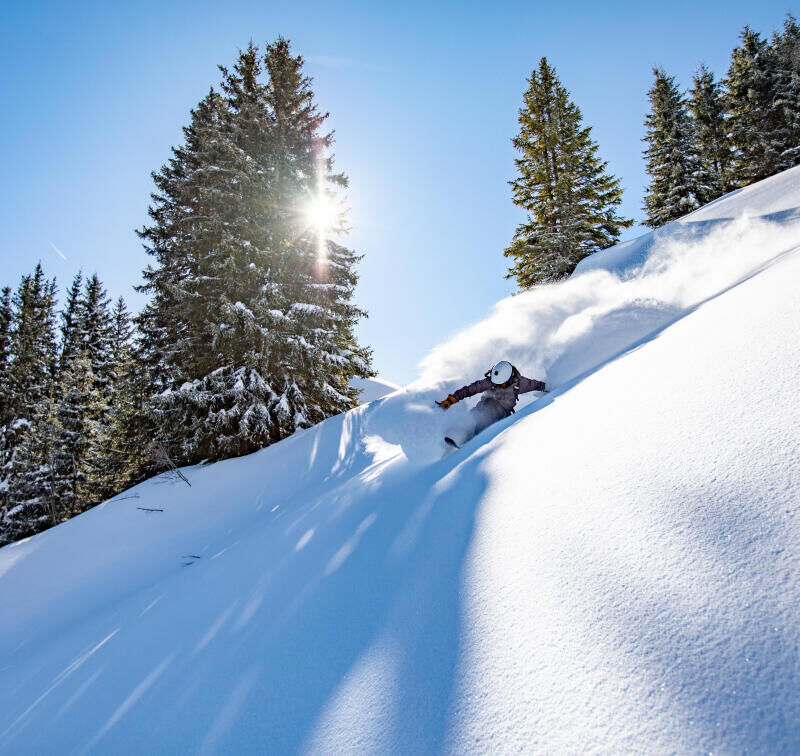 choose your freeride skis, wedze advice