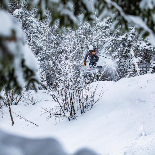 ski freeride pow chaser poudreuse