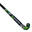 Hockeystick voor kinderen hout FH100 dino