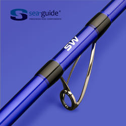 Ensemble de pêche en surfcasting canne et moulinet SYMBIOS-500 420 100-200gr