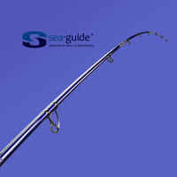 Surfcasting rod SYMBIOS-500 500 100-200g