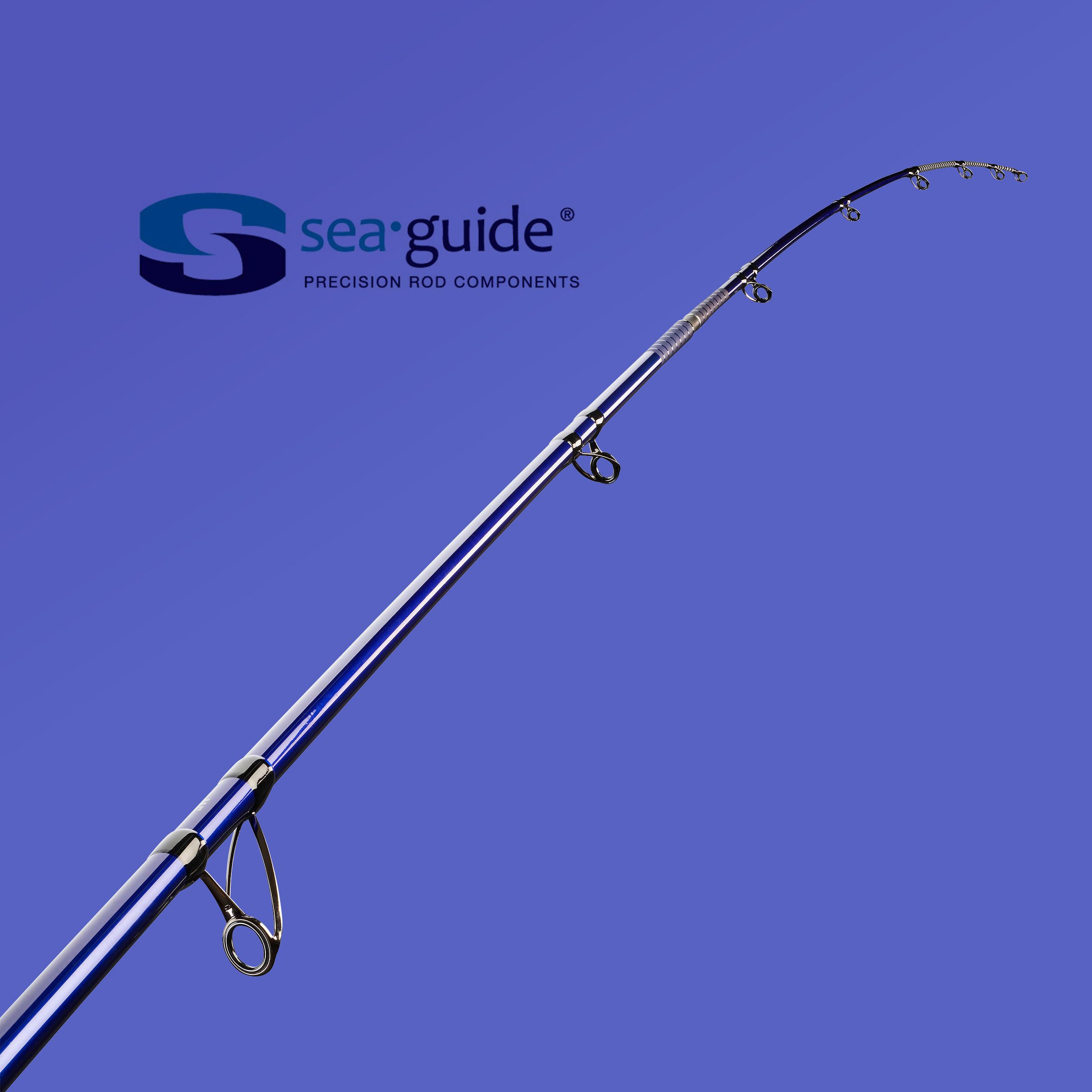 Angelrute Symbios-500 450 100–200 g 10/12