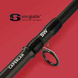 Fishing Surfcasting Rod Symbios Light-500 420