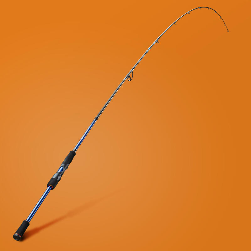 Mürekkep Balığı / Kalamar Kamışı - UKIYO-500 240