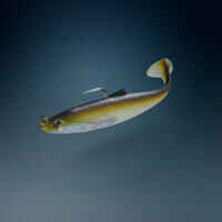 Sea fishing supple lures Shad swimbait sardine OSARDA 80 - Natural
