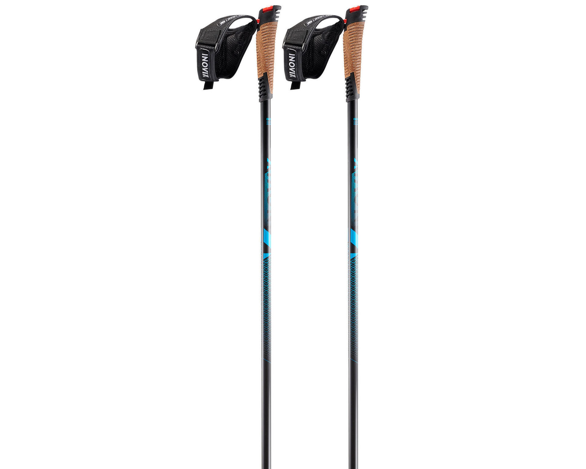 CLASSIC CROSS-COUNTRY SKI poles 