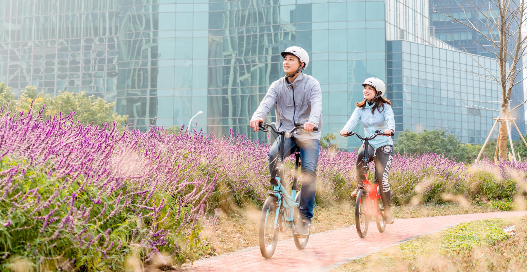 在綠色植物附近踩單車有助改善健康