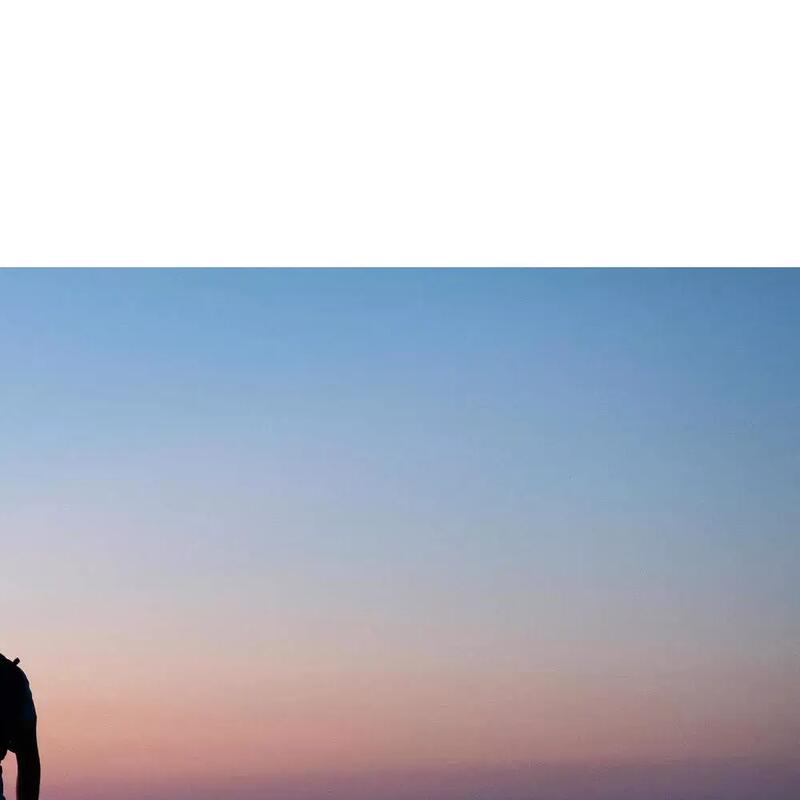 Petite méditation écrite : l’essence du trail