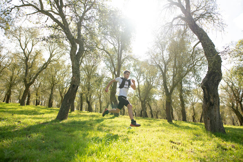 De 10 mooiste hardlooproutes in Nederland